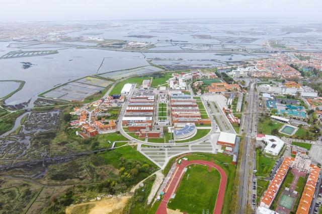 Microalga salina estudada em Aveiro para tratar inflamação e diabetes